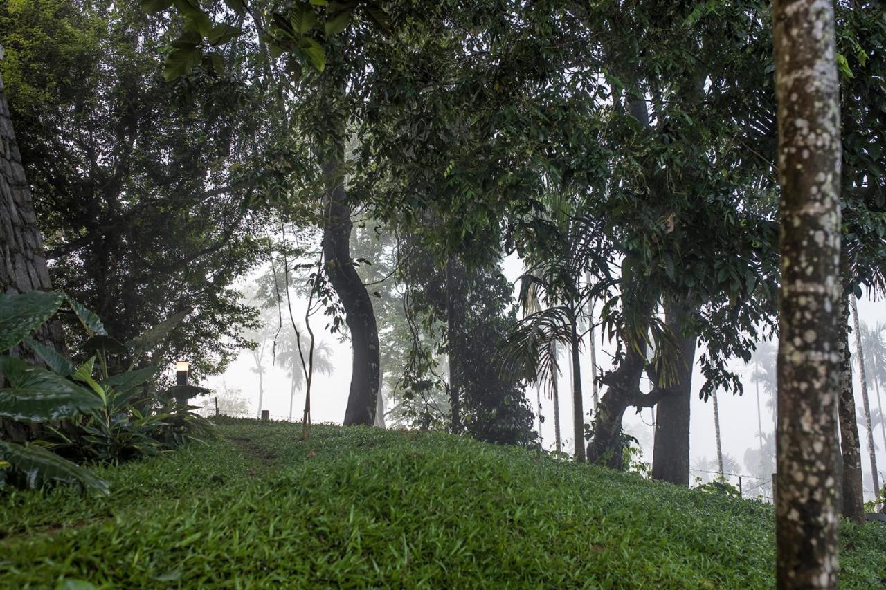 Great Trails Wayanad By Grt Hotels Exterior photo